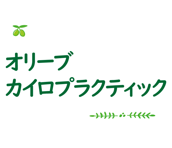 オリーブ カイロプラクティック